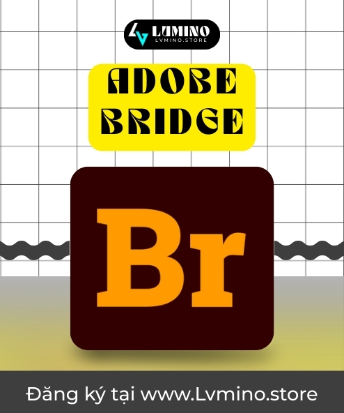 Adobe Bridge